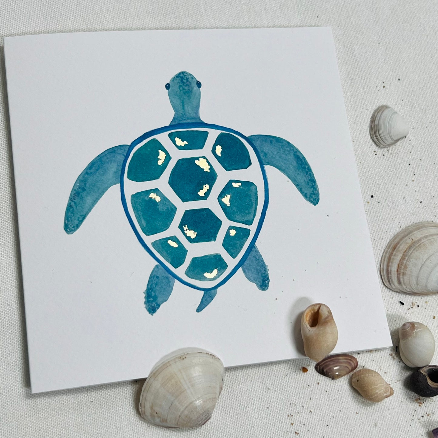 blue sea turtle card surrounded by shells and grains of sand