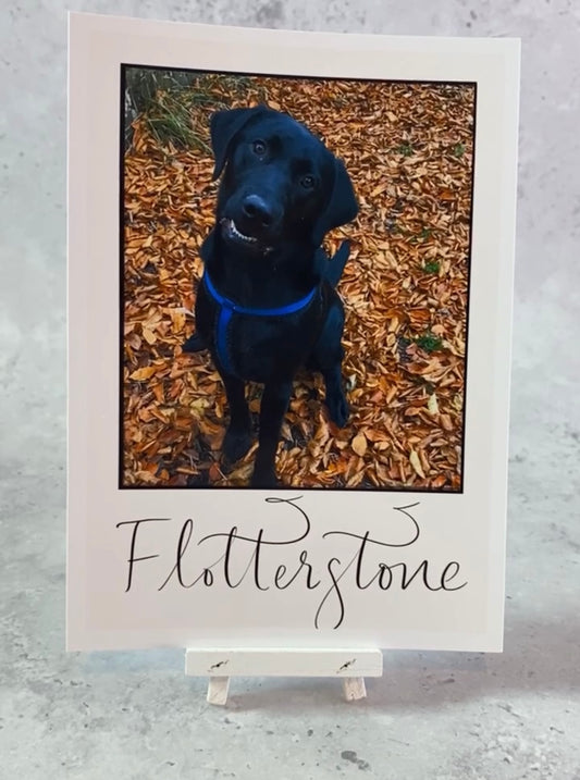 Polaroid Table Names - personalised
