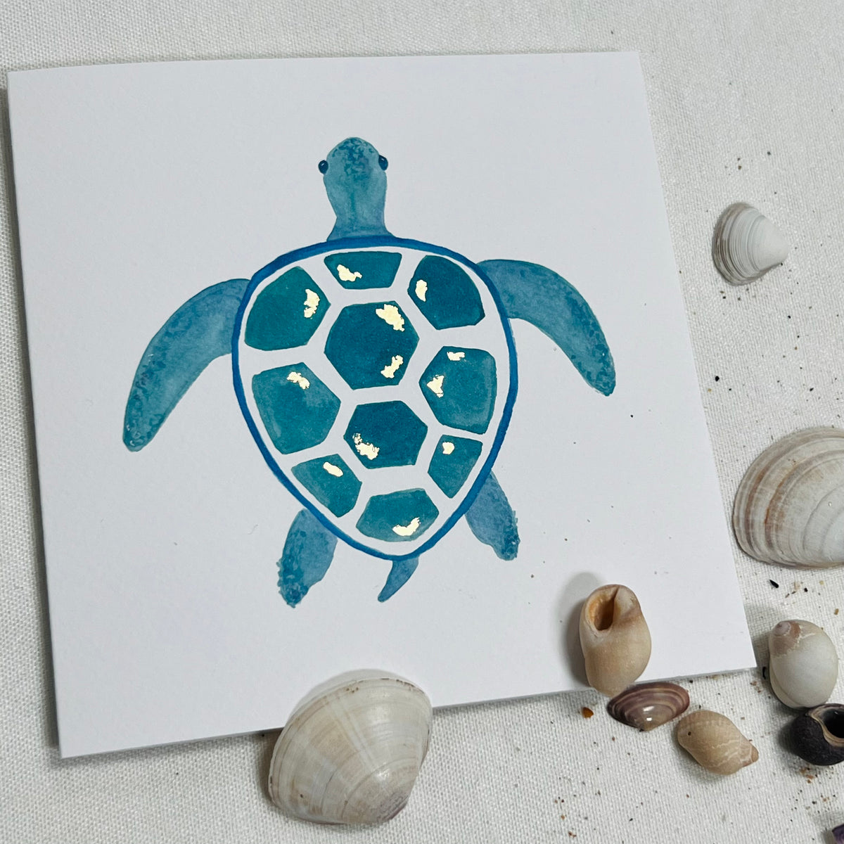 Turtle Shell Card Back Watercolour Print Sea Turtle Card – MagentaInkCalligraphy